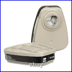 3M 6900 Full Face Respirator Gas Mask & 6001 OV Organic Vapor Cartridge, LARGE