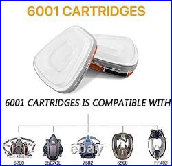 6001 Filter Cartridges Replacement for Gas Respirator, Dust-Proof, Organic Vap