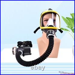 Air Fed Full Face Gas Mask Constant Flow Supplied Respirator Chemicals Painting