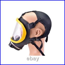 Air Fed Full Face Gas Mask Electric Constant Flow Supplied Respirator System New