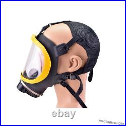Air Fed Full Face Gas Mask Electric Constant Flow Supplied Respirator System USA