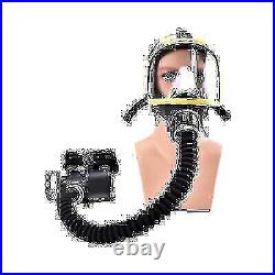 Electric Air Fed Gas Mask Full Face Respirator Constant Flow Air Supply System