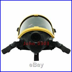 Electric Constant Flow Supplied Air Fed Full Face Gas Mask Respirator 15 m