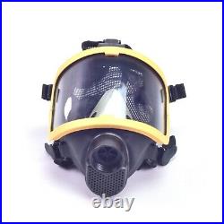 Electric Constant Flow Supplied Air Fed Full Face Gas Mask Respirator Safety