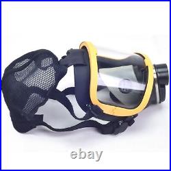 Electric Constant Flow Supplied Air Fed Full Face Gas Mask Respirator SystemDi
