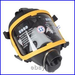 Electric Constant Flow Supplied Air Fed Full Face Gas Mask Respirator System