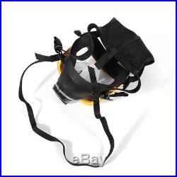 Electric Constant Flow Supplied Air Fed Full Face Gas Mask Respirator System A++