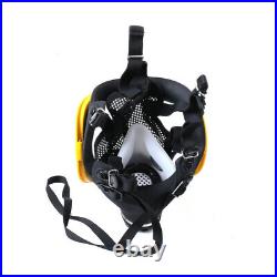 Electric Constant Flow Supplied Air Fed Full Face Gas Mask Respirator System US