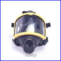 Electric Constant Flow Supplied Air Fed Full Face Gas Mask Respirator Systemcy