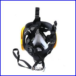 Electric Full Face Gas Mask Constant Flow Respirator Supplied Air Fed System