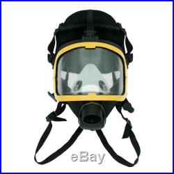 Electric Full Face Gas Mask Constant Flow Supplied Air Fed Respirator System US