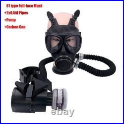 Electric Supplied-Air Respirator System Full-Face or Half-Face Masks