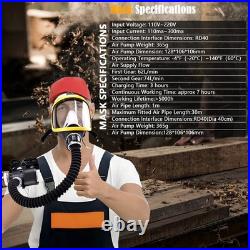 Full Face Gas Mask Constant Flow Supplied Air Fed Chemicals Safety Electric