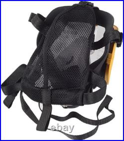 Full Face Gas Mask, Electric Constant Flow Supplied Air Respirator, 2-Gear Adjus