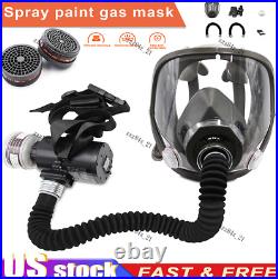 Full Face Gas Portable Electric Respirator Supplied Air Paint Spraying Chemical