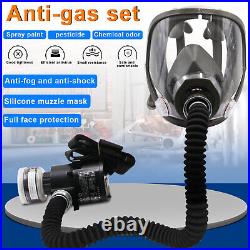 Full Face Gas Portable Electric Respirator Supplied Air Paint Spraying Chemical