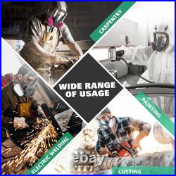 Full Face Respirator Mask Gas Mask with Filters for Chemical, Paint Vapors, Ga