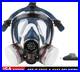 Full_Face_Respirator_Mask_Organic_Vapor_Gas_Chemical_Spray_Paint_Filter_Cartridg_01_stxg