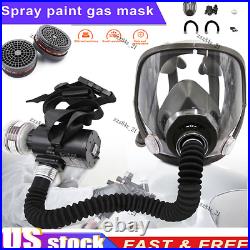 Portable Electric Full Face Gas Respirator Supplied Air Paint Spraying Chemical