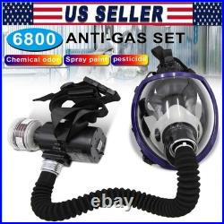 Portable Electric Full Face Gas Respirator Supplied Air Paint Spraying Chemical