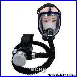 Portable Electric Full Face Gas Respirator Supplied Air Paint Spraying Chemical