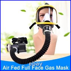 Powered Full Face Respirator Protective Mask with Air Pump for Gases Dust Paint