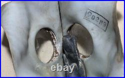 Protection Gas mask O-8 O8 1939 Soviet USSR army RKKA antique Military vintage
