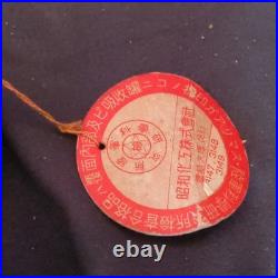 Rare WW2 Japanese Civilian Gas Mask Respirator with Original Box & Canister