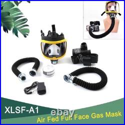 Reusable PPAR Respirator Full Face Respirator Protective Gas Mask Air Supply