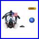 Syine_Organic_Vapors_Full_Respirator_Mask_Gas_Mask_Spray_Paint_Chemical_01_jnyi