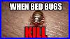 When_Bed_Bugs_Kill_01_mok